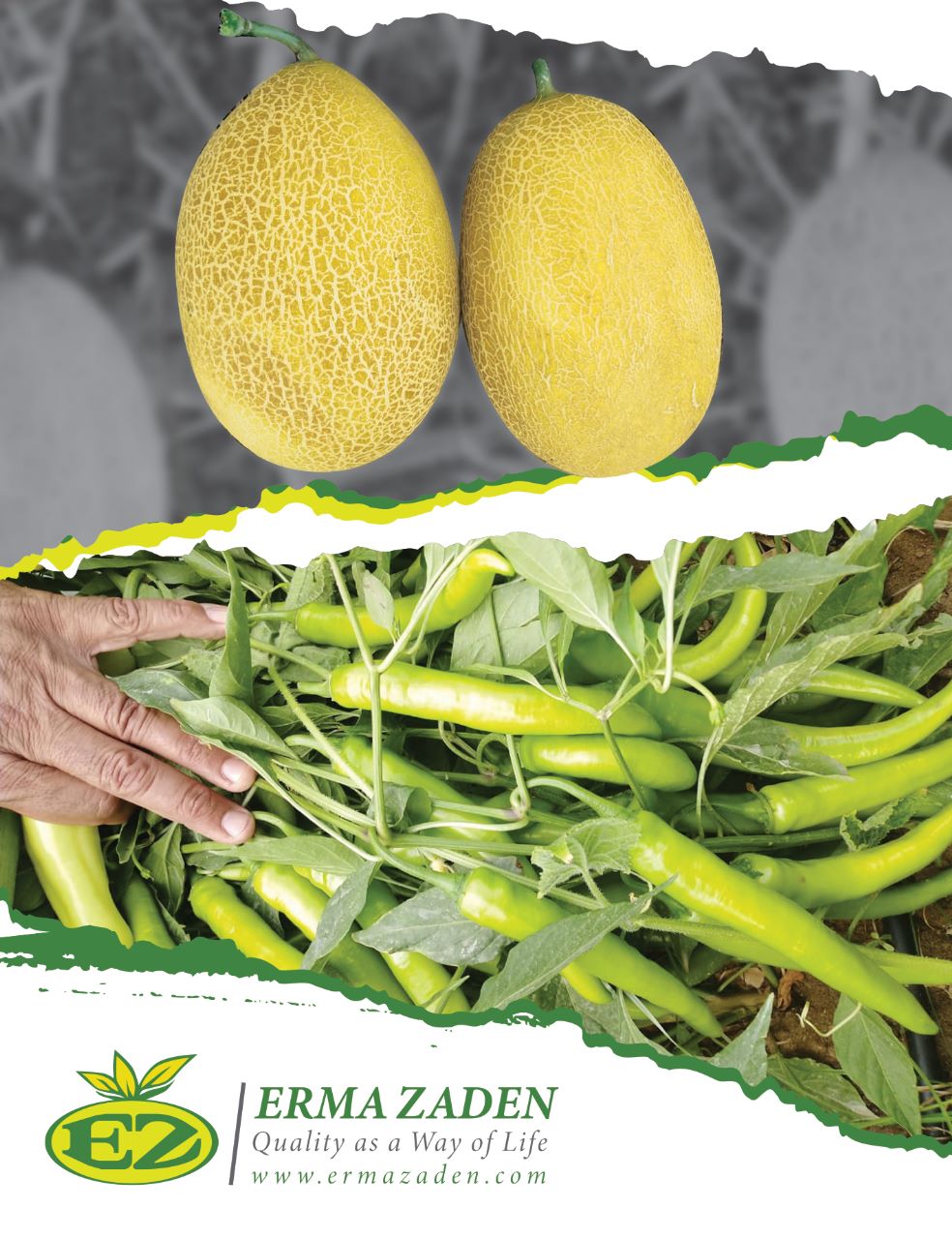 Erma Zaden Seeds Kosta Chem